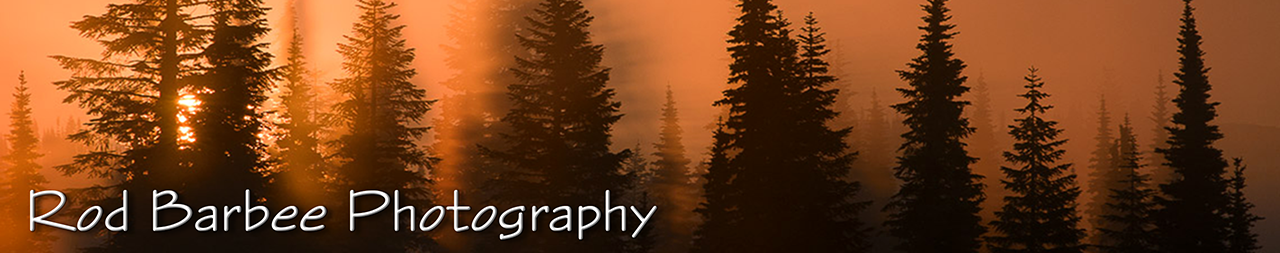 Rod Barbee Photography