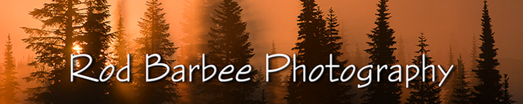 Rod Barbee Photography