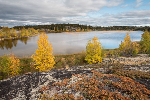 Barbee_180913_8093.jpg