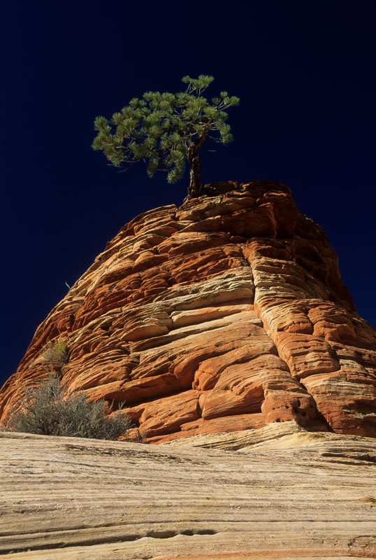 Barbee_13876.jpg