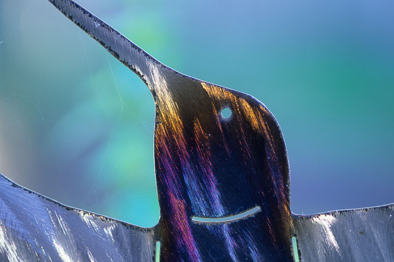 closeup_069.jpg
