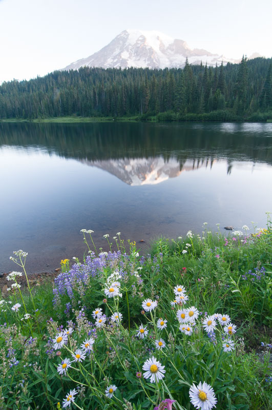Barbee_090804_3_1762.jpg